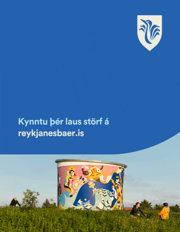 RNB atvinnutorg