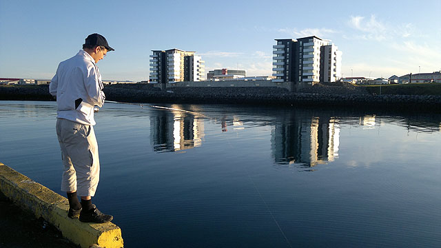 Makrílæði við Keflavíkurhöfn - stykkið á 10 krónur