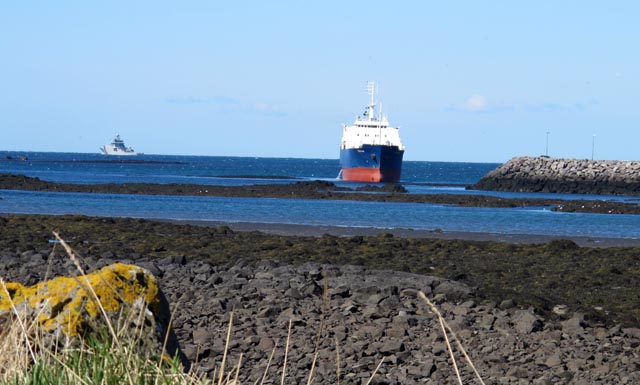 Reynt að ná Fernanda á flot á háflóði í dag