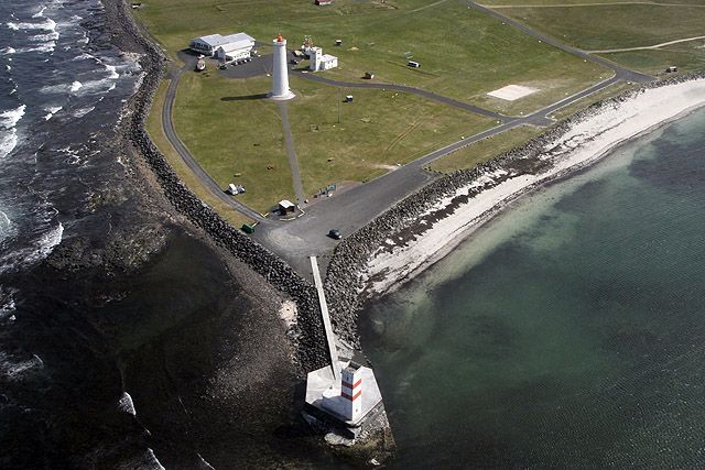 Sjávarlíf í Garðsjónum á Garðskaga í sumar