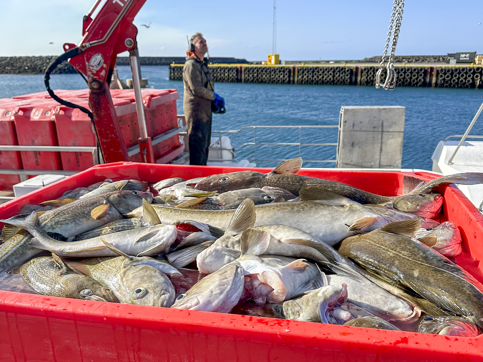 Einhamar Seafood aftur í gang eftir síðasta eldgos