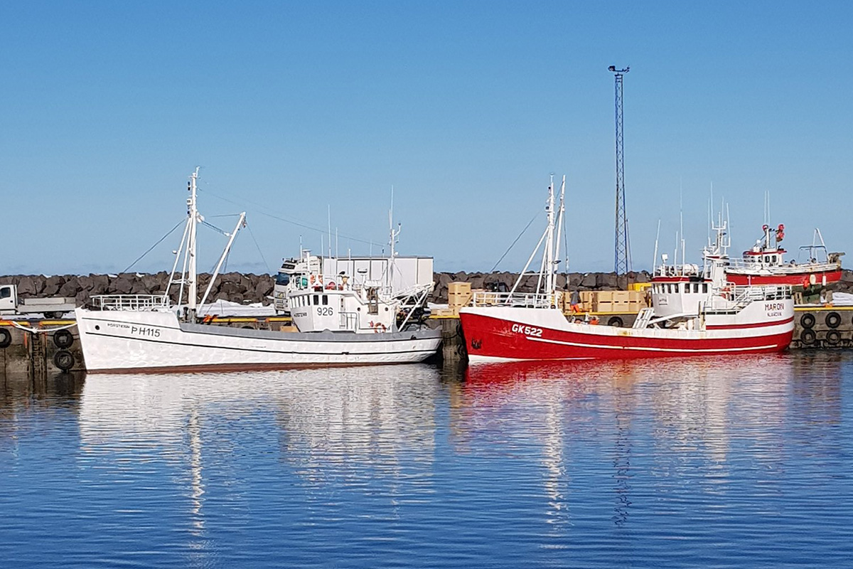 Elstu bátar í útgerð saman á mynd í Sandgerði