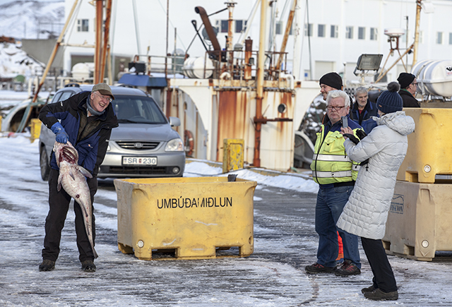 Ferðamenn í átökum við þann gula