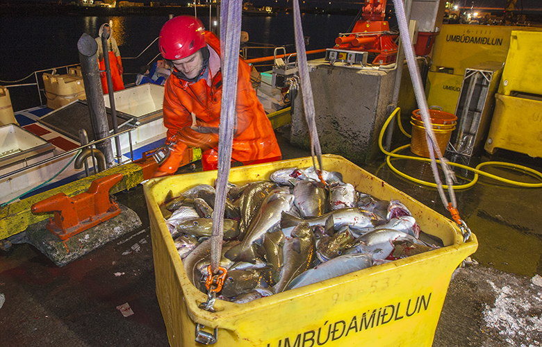 Smábátasjómenn kátir með hátt fiskverð