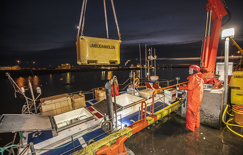 Smábátasjómenn kátir með hátt fiskverð