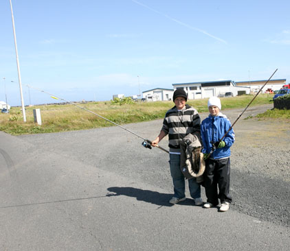 Garður: Bryggjupollar veiða makríl