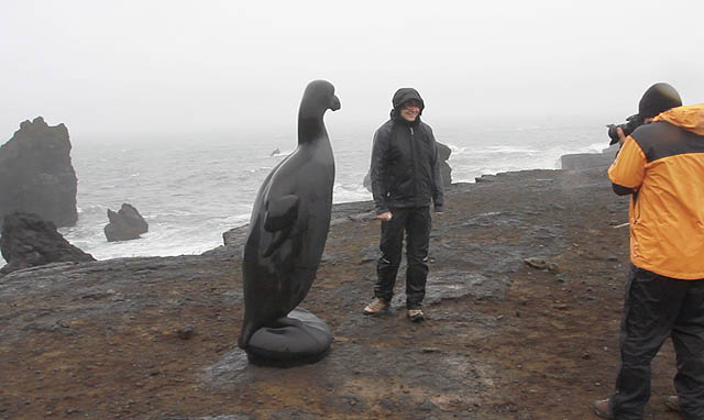 „Neyðarlegur“ geirfugl á Reykjanesi