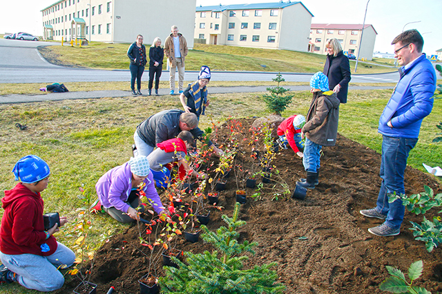 35.000 tré gróðursett á Ásbrú