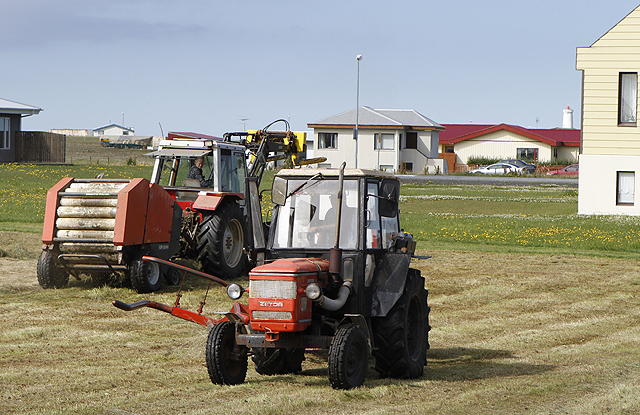 Heyskapur við Nýjaland í Garði