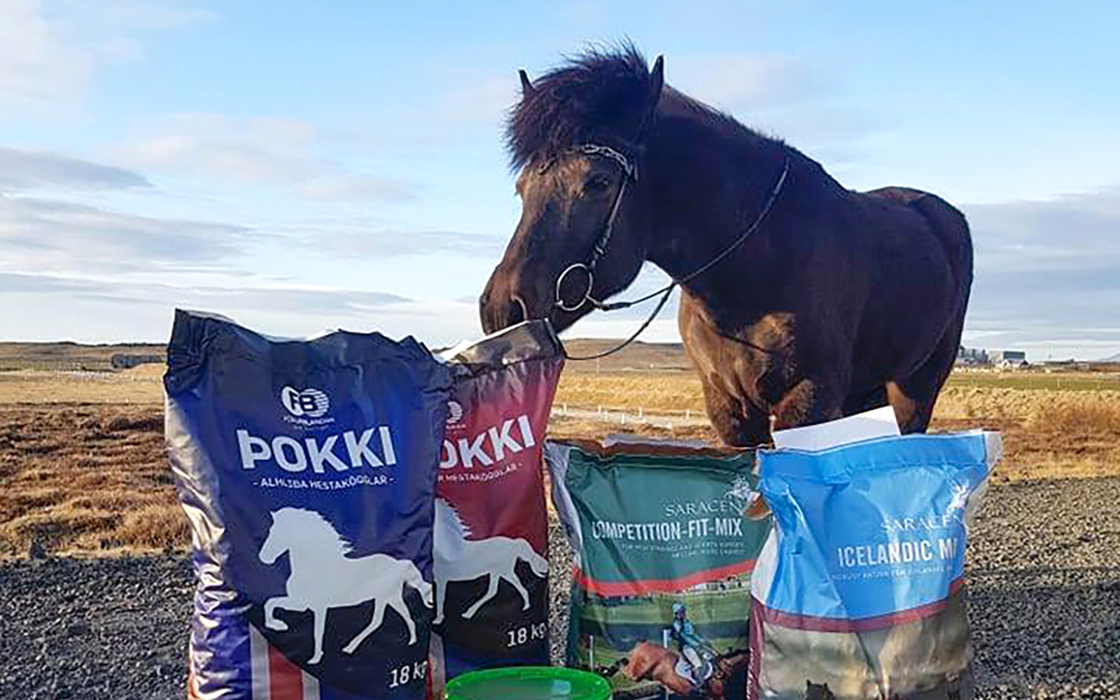 Frábær þátttaka í íþróttamóti Mána