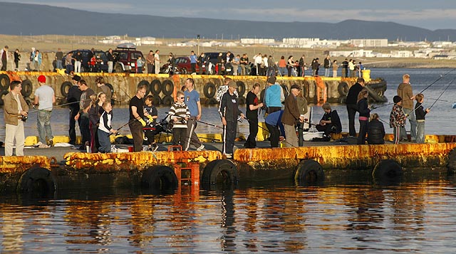 Trillukarlar kaupa makríl í beitu af veiðimönnum