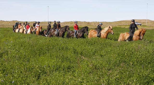 Börnin kynnast hestum á reiðnámskeiði Mána