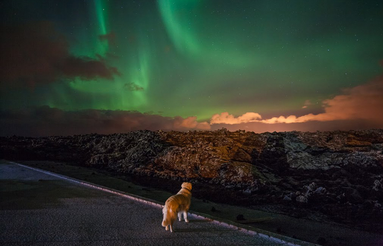 Norðurljósin vinsæl