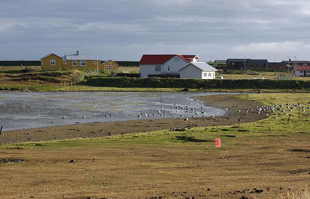 Miðhúsasíkið ekki svipur hjá sjón