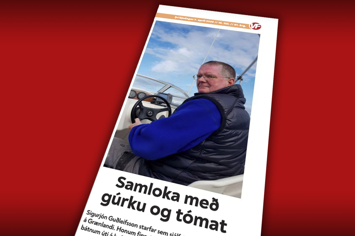 Samloka með gúrku og tómat