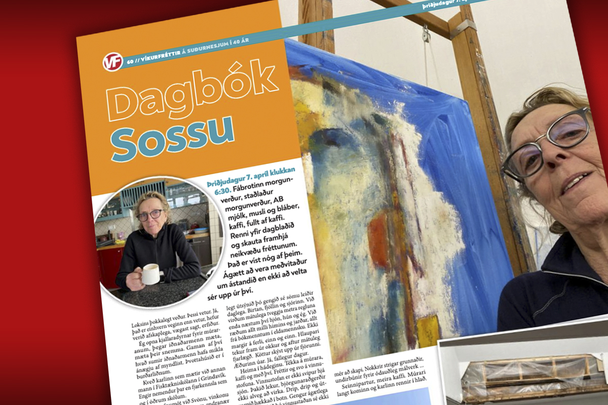 Dagbók Sossu