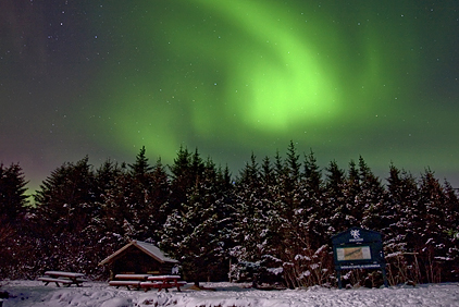 Tími norðurljósanna