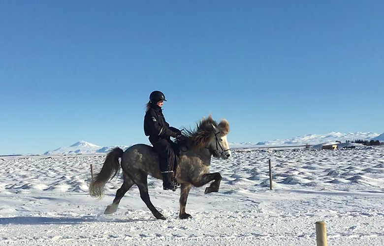 „Hestamennskan mín er lífstíll“