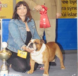 Þrír Bulldog hundar frá Keflavík unnu til verðlauna