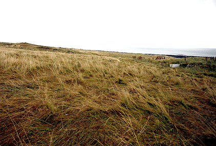 Leggja Prima Care til 5 hektara lands í Garði