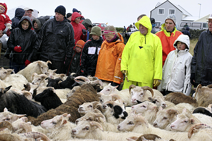 Þórkötlustaðaréttum seinkar