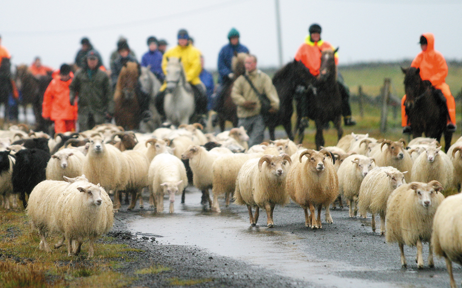 Réttum í Grindavík frestað fram á sunnudag