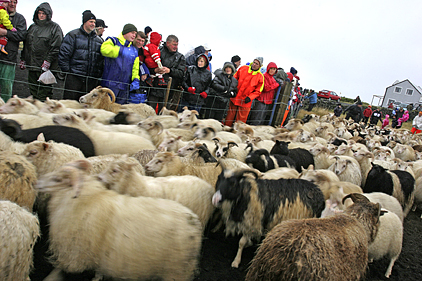 Réttarstemmning í Grindavík