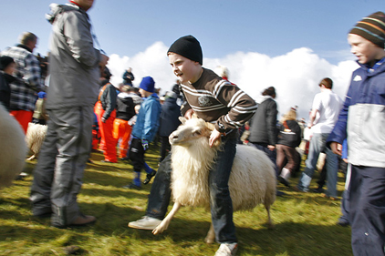 Haustmarkaður í Þórkötlustaðaréttum 