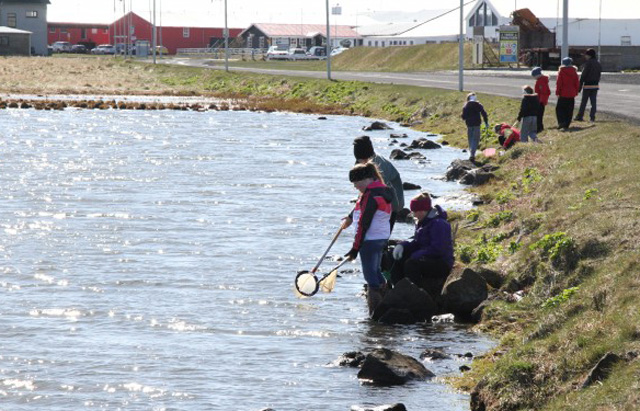 Leita að forstöðumanni náttúrustofu