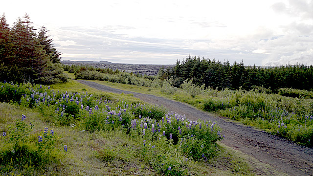 Gera göngustíg frá Grindavík í Bláa lónið