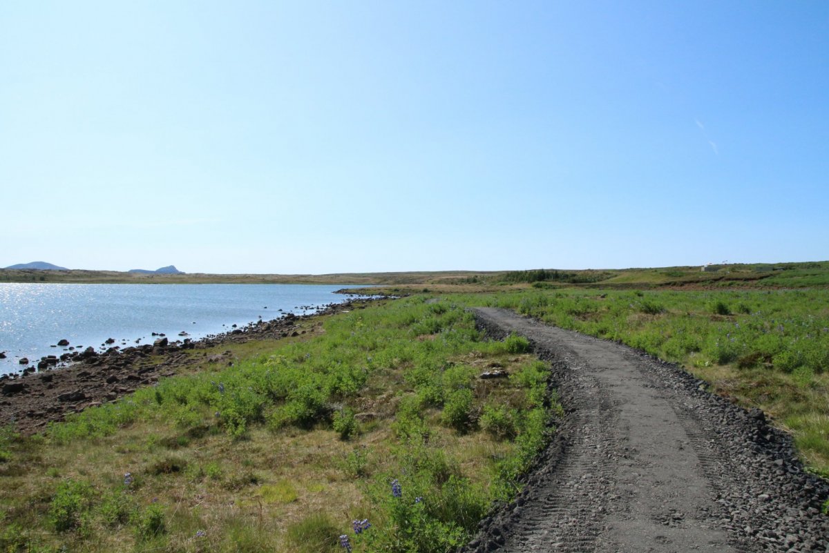 Stígur lagður umhverfis Seltjörn