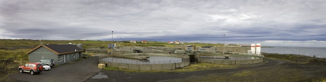 Veglegur jólabónus Samherja á Suðurnesjum