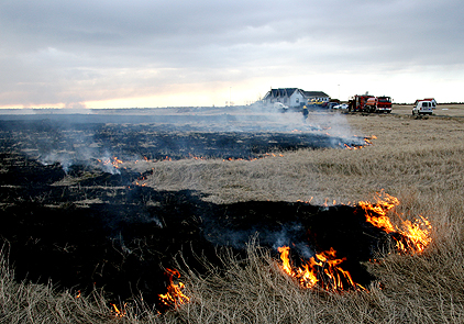 Sinubruni sást víða að