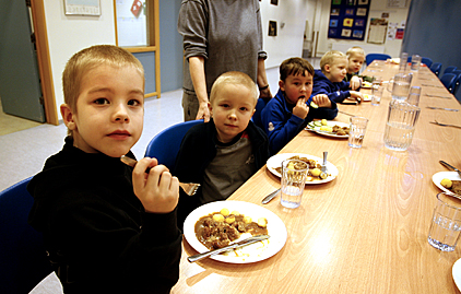 Ekki grundvöllur fyrir sumarmötuneyti