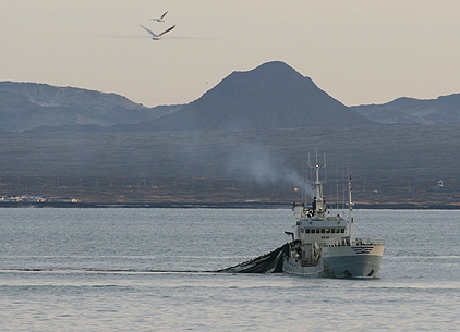 Mokveiða síld skammt frá landi í Keflavík