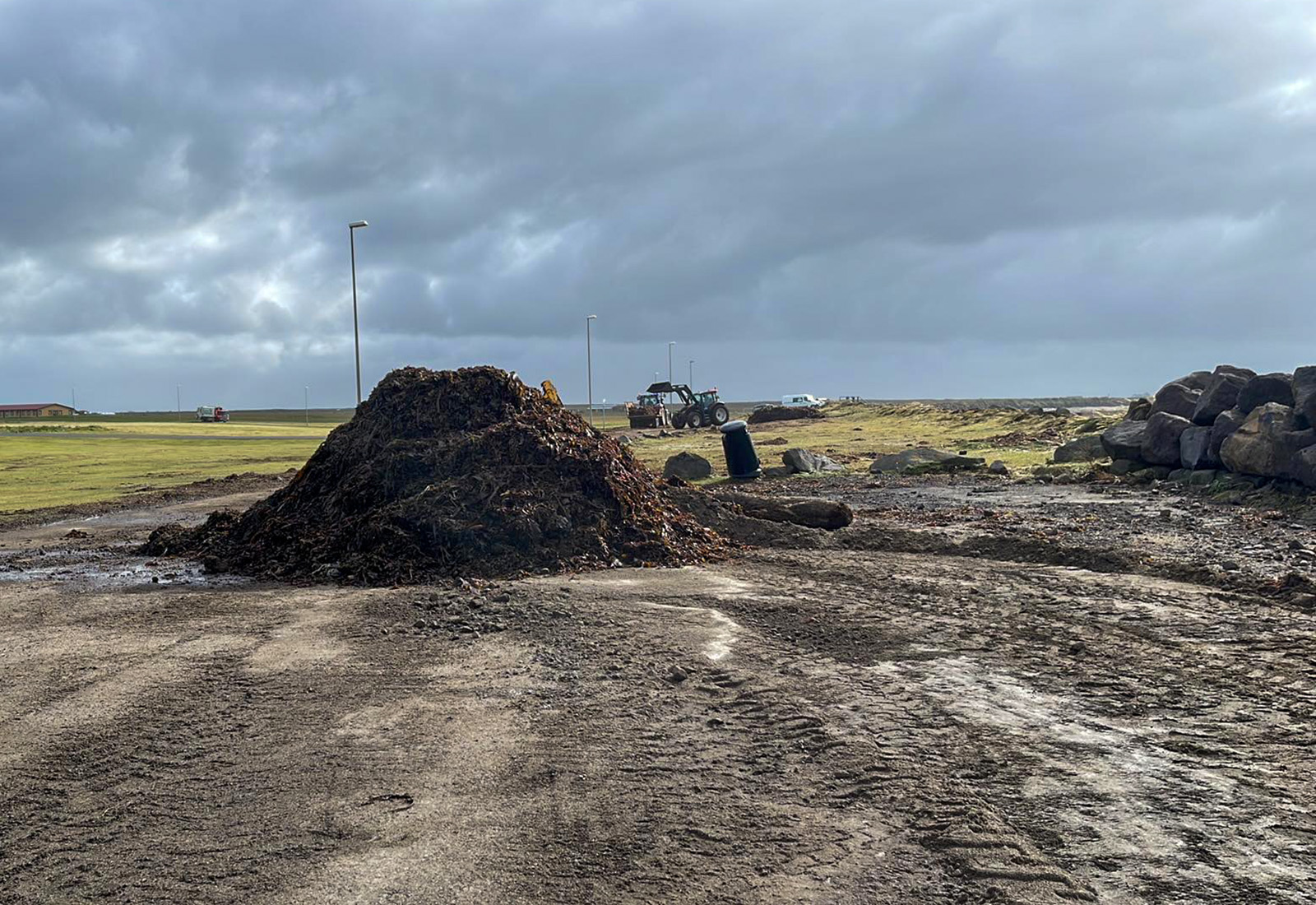 Fjall af þangi á Garðskaga