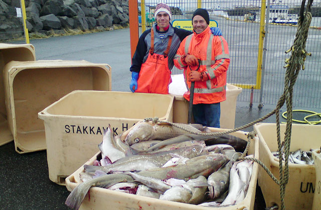 Vænir golfþorskar úr Garðsjónum - Sunna Líf búin að fara yfir 20 róðra í októberblíðunni