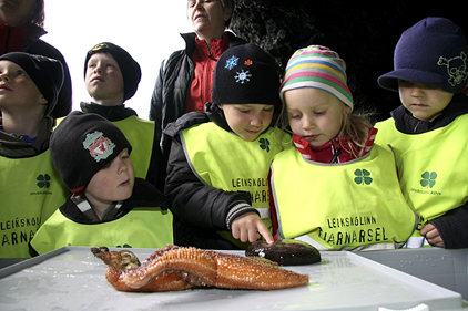 Dagur leikskólans: Tjarnarsel setur bóklestur fyrir börn í brennidepil