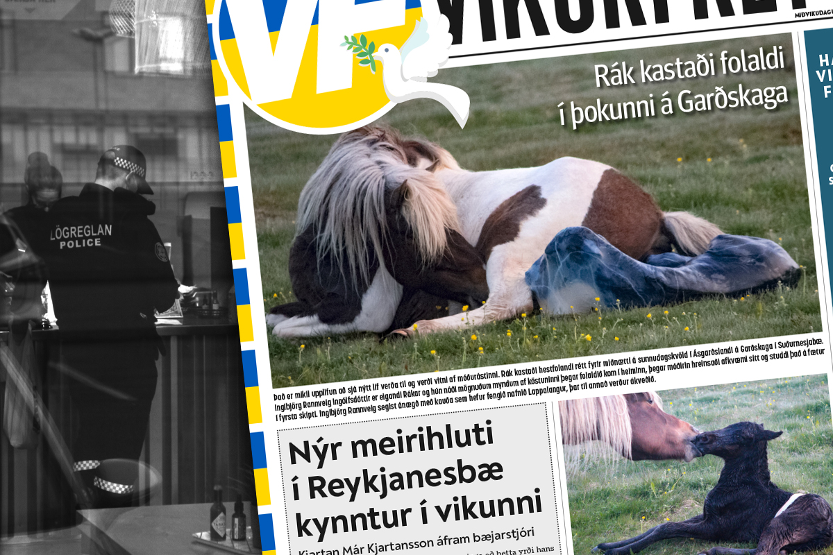 Hér eru Víkurfréttir vikunnar