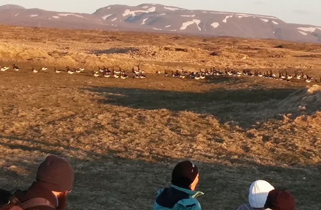 Ganga frá Brunnastaðahverfi í Voga