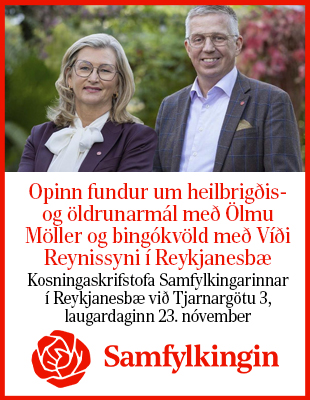 Samfylkingin fundur og bingó